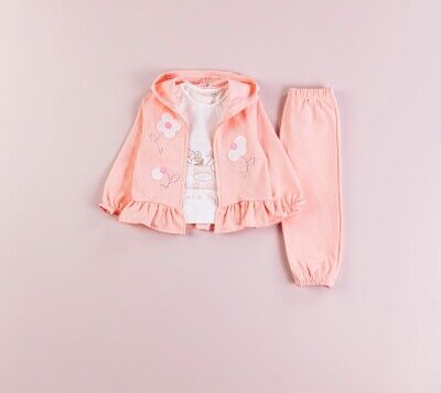 Wholesale Baby Girls 3-Piece Tracksuit Set 9-24M BabyRose 1002-7742 Salmon Color 