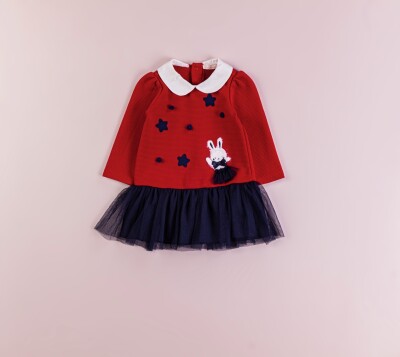 Wholesale Baby Girls Dress 9-24M BabyRose 1002-4387 Red