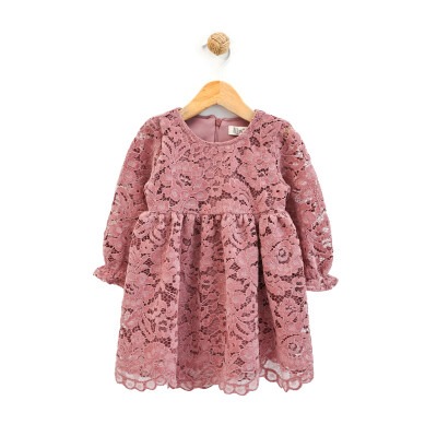 Wholesale Baby Girls Dress 9-24M Lilax 1049-6219 Dusty Rose