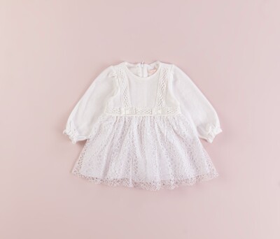 Wholesale Baby Girls Tulle Dress 6-18M BabyRose 1002-4322 Ecru