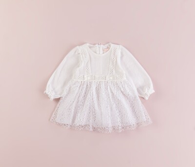 Wholesale Baby Girls Tulle Dress 6-18M BabyRose 1002-4322 - Babyrose (1)