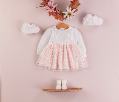 Wholesale Baby Girls Tulle Dress 6-18M BabyRose 1002-4322 Salmon Color 