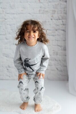 Wholesale Boys 2-Piece Pajamas Set 3-14Y Zeyland 1070-242Z2PJM304 - Zeyland