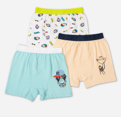 Wholesale 15-Piece Boys Boxer 3-12YDefne 1064-DFN-B031-22 - Defne