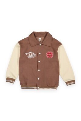 Wholesale Boys Cardigan 10-13Y Tuffy 1099-354 Brown3