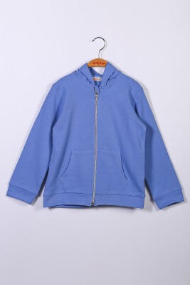 Wholesale Boys Hooded Cardigan 5-12Y Zeyland 1070-221Z2LPY21B - Zeyland