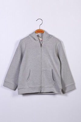 Wholesale Boys Hooded Cardigan 5-12Y Zeyland 1070-221Z2LPY21B - Zeyland (1)