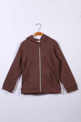 Wholesale Boys Hooded Cardigan 5-12Y Zeyland 1070-221Z2LPY21B Brown