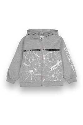 Wholesale Boys Hooded Cardigan 6-9Y Tuffy 1099-7118 Gray