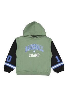 Wholesale Boys Hooded Sweatshirt 10-13Y Tuffy 1099-7154 - Tuffy (1)