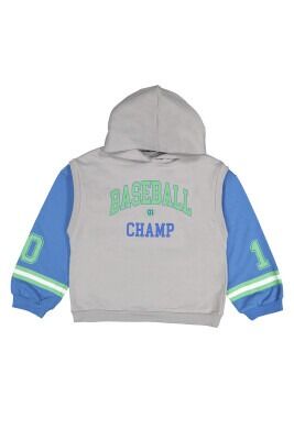 Wholesale Boys Hooded Sweatshirt 10-13Y Tuffy 1099-7154 Gray