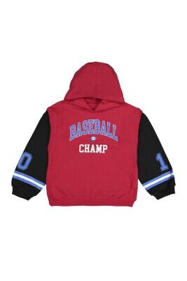 Wholesale Boys Hooded Sweatshirt 10-13Y Tuffy 1099-7154 Red