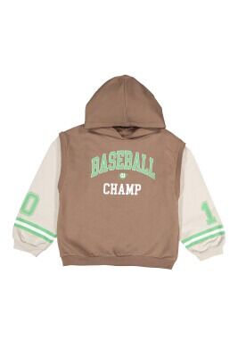 Wholesale Boys Hoodie Sweatshirt 6-9Y Tuffy 1099-7101 Light brown