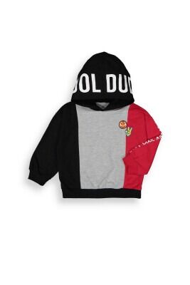 Wholesale Boys Hoodie Sweatshirt 2-5Y Tuffy 1099-7059 - Tuffy