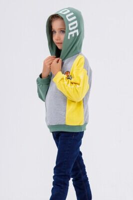 Wholesale Boys Hoodie Sweatshirt 2-5Y Tuffy 1099-7059 Green