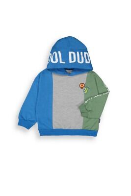 Wholesale Boys Hoodie Sweatshirt 2-5Y Tuffy 1099-7059 Saxe