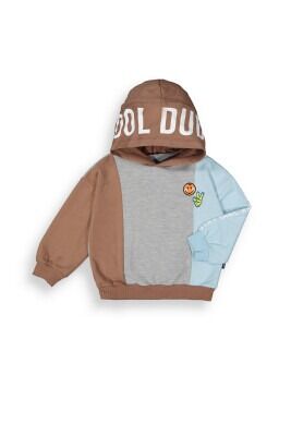 Wholesale Boys Hoodie Sweatshirt 2-5Y Tuffy 1099-7059 Light brown