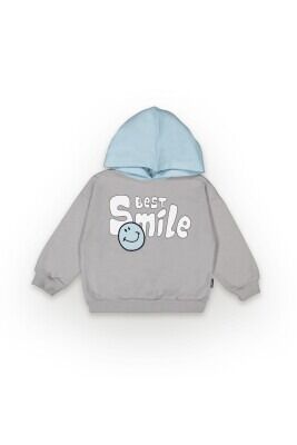 Wholesale Boys Hoodie Sweatshirt 2-5Y Tuffy 1099-7065 - Tuffy (1)