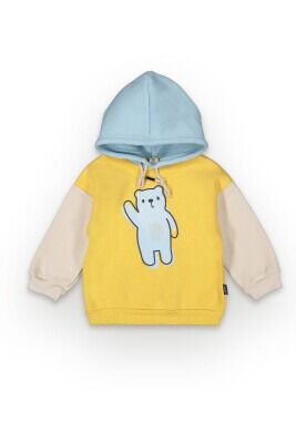 Wholesale Boys Hoodie Sweatshirt 2-5Y Tuffy 1099-7066 - Tuffy (1)