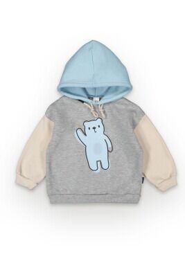 Wholesale Boys Hoodie Sweatshirt 2-5Y Tuffy 1099-7066 GreyMarl