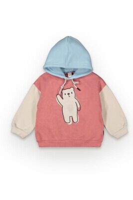 Wholesale Boys Hoodie Sweatshirt 2-5Y Tuffy 1099-7066 Tile Red 