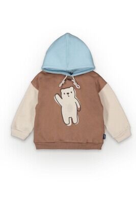 Wholesale Boys Hoodie Sweatshirt 2-5Y Tuffy 1099-7066 Light brown