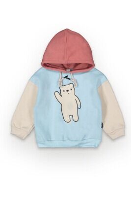 Wholesale Boys Hoodie Sweatshirt 2-5Y Tuffy 1099-7066 Ice blue