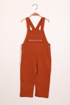 Wholesale Boys Overalls with Pocket 2-7Y Zeyland 1070-212Z1AHN41 - Zeyland