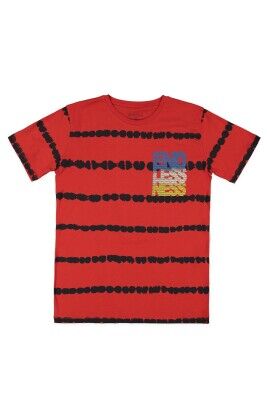 Wholesale Boys Patterned T-shirt 13-16Y Divonette 1023-7549-5 - Divonette (1)