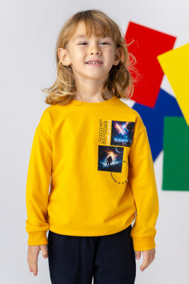 Wholesale Boys Printed Basic Sweatshirt 3-14Y Zeyland 1070-241Z3SPC61 - Zeyland
