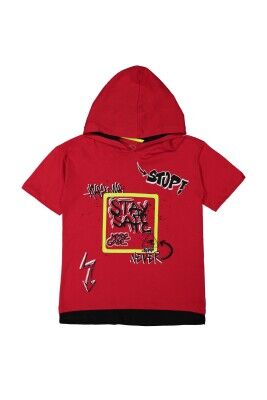 Wholesale Boys Printed T-shirt 13-16Y Divonette 1023-9617-5 - Divonette