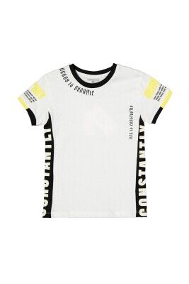 Wholesale Boys Printed T-shirt 9-12Y Divonette 1023-7500-4 - Divonette