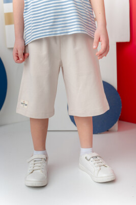 Wholesale Boys Shorts 1-14Y Zeyland 1070-251Z3SCG07 Stone