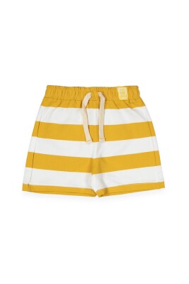 Wholesale Boys Striped Shorts 6-9Y Divonette 1023-7724-3 Mustard