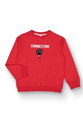 Wholesale Boys Sweatshirt 10-13Y Tuffy 1099-359 Red