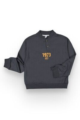 Wholesale Boys Sweatshirt 10-13Y Tuffy 1099-361 Anthracite Color