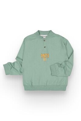 Wholesale Boys Sweatshirt 10-13Y Tuffy 1099-361 Light green2