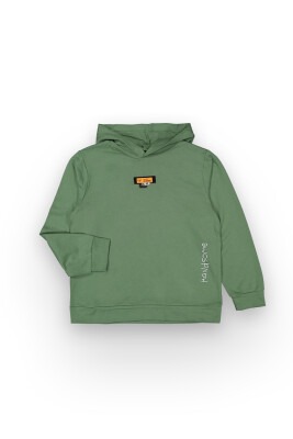 Wholesale Boys Sweatshirt 10-13Y Tuffy 1099-364 - Tuffy (1)