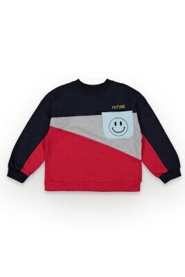 Wholesale Boys Sweatshirt 6-9 Tuffy 1099-7104 Red