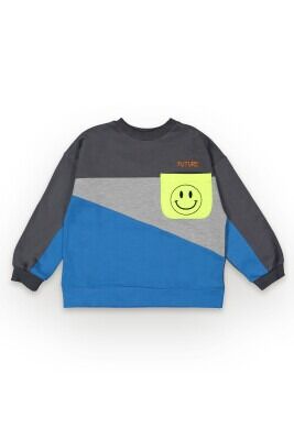 Wholesale Boys Sweatshirt 6-9 Tuffy 1099-7104 Saxe