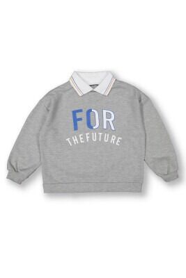 Wholesale Boys Sweatshirt 10-13Y Tuffy 1099-7152 GreyMarl