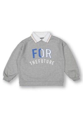 Wholesale Boys Sweatshirt 10-13Y Tuffy 1099-7152 - Tuffy (1)