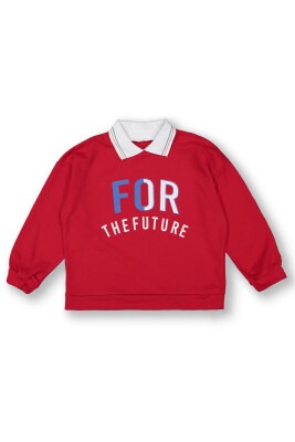 Wholesale Boys Sweatshirt 10-13Y Tuffy 1099-7152 Red