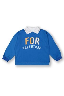 Wholesale Boys Sweatshirt 10-13Y Tuffy 1099-7152 Saxe