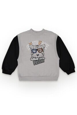 Wholesale Boys Sweatshirt 10-13Y Tuffy 1099-7159 Gray