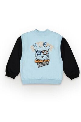 Wholesale Boys Sweatshirt 10-13Y Tuffy 1099-7159 Ice blue