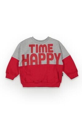 Wholesale Boys Sweatshirt 2-5Y Tuffy 1099-7060 Red