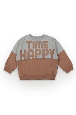Wholesale Boys Sweatshirt 2-5Y Tuffy 1099-7060 Light brown