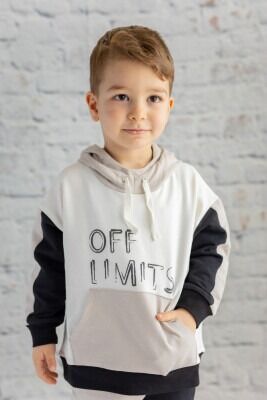 Wholesale Boys Sweatshirt 2-5Y Zeyland 1070-232Z1BUF62 - Zeyland