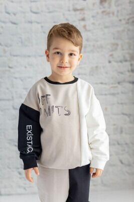 Wholesale Boys Sweatshirt 2-5Y Zeyland 1070-232Z1BUF63 - Zeyland